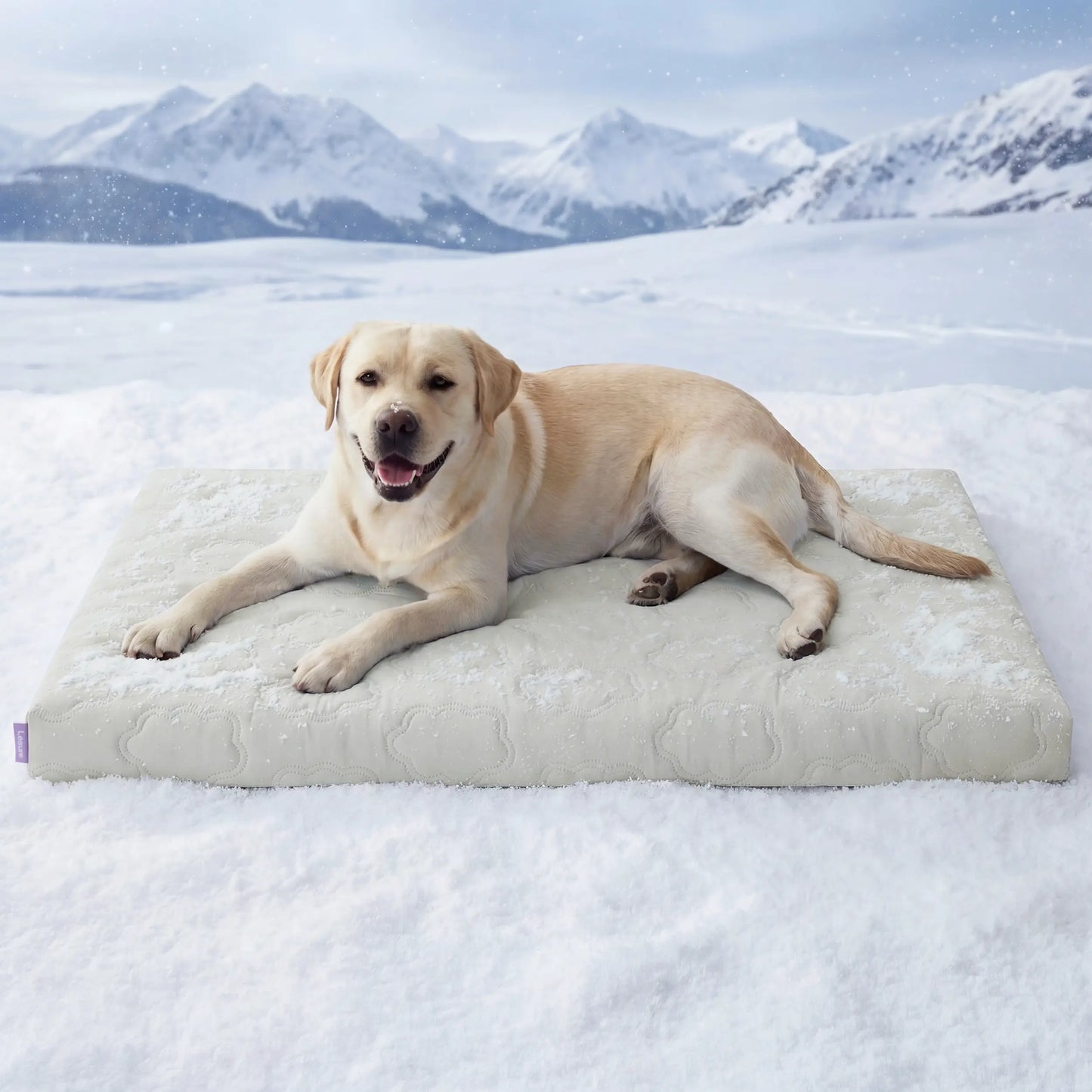 Washable Pet Cooling Mat for Dogs, Q-MAX>0.4 Breathable Summer Cooling Pad, No Gel, No Electric & Non-Slip Design